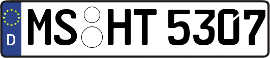 MS-HT5307