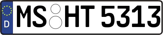 MS-HT5313