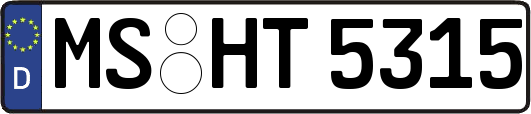 MS-HT5315