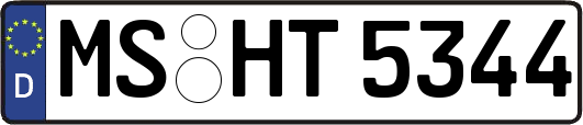 MS-HT5344