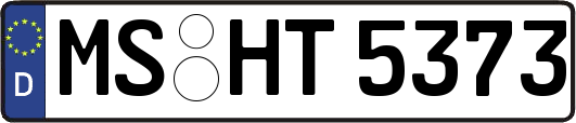 MS-HT5373