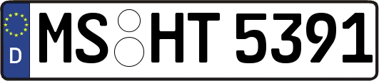 MS-HT5391