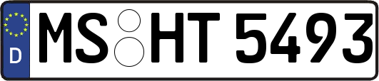 MS-HT5493