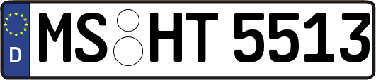 MS-HT5513