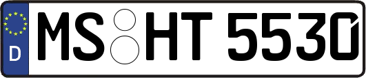 MS-HT5530