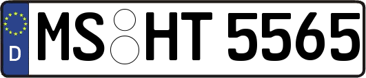 MS-HT5565