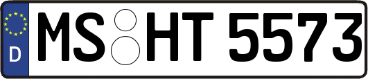 MS-HT5573