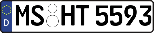MS-HT5593