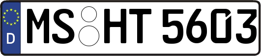 MS-HT5603