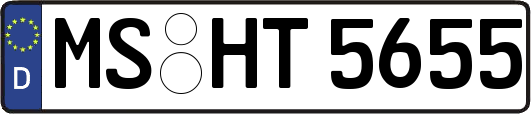 MS-HT5655