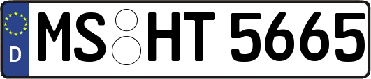 MS-HT5665