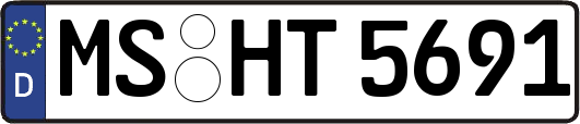 MS-HT5691
