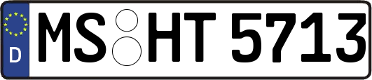 MS-HT5713