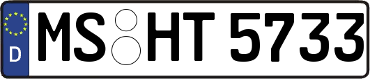 MS-HT5733