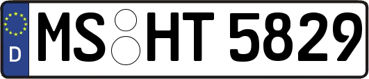 MS-HT5829