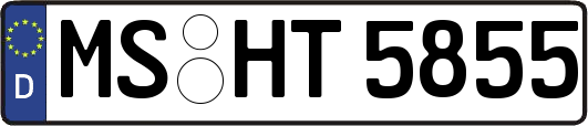 MS-HT5855
