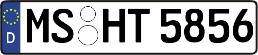 MS-HT5856