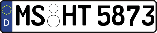 MS-HT5873