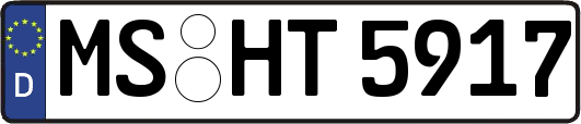 MS-HT5917