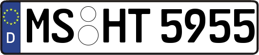 MS-HT5955