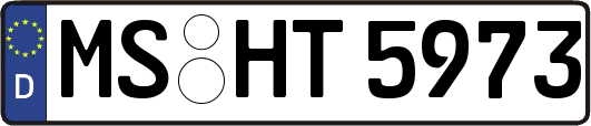 MS-HT5973