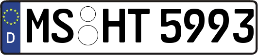 MS-HT5993