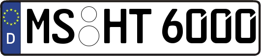 MS-HT6000