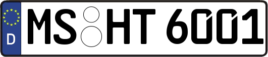 MS-HT6001