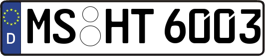 MS-HT6003