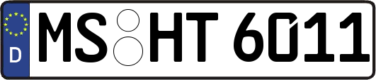 MS-HT6011