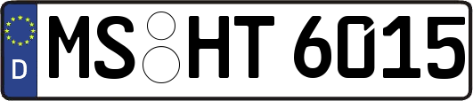 MS-HT6015