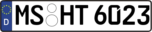 MS-HT6023