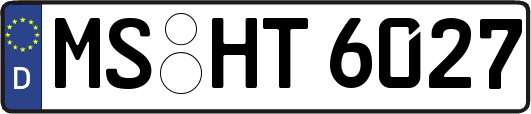MS-HT6027