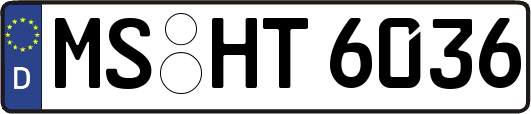 MS-HT6036