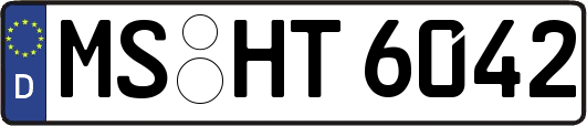 MS-HT6042