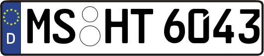 MS-HT6043
