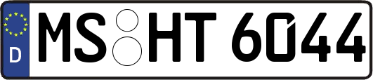 MS-HT6044