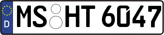 MS-HT6047