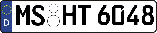MS-HT6048