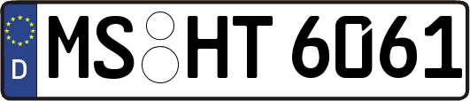 MS-HT6061