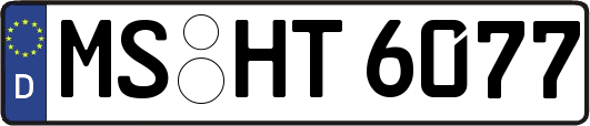 MS-HT6077
