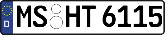 MS-HT6115