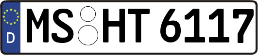 MS-HT6117