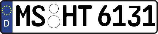 MS-HT6131