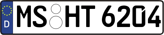 MS-HT6204