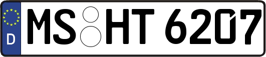 MS-HT6207