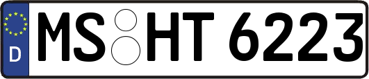 MS-HT6223