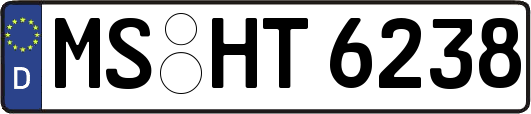 MS-HT6238