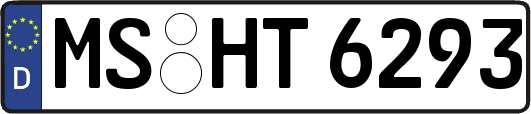 MS-HT6293