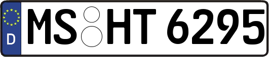 MS-HT6295